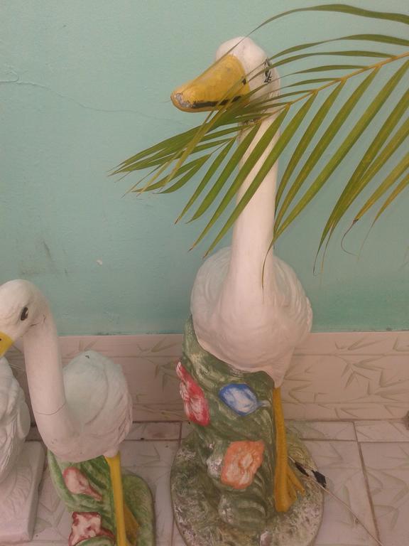 Pousada Recanto De Salvador Kamer foto